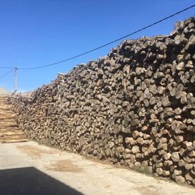 Maderas Rementería, C.B. troncos de madera